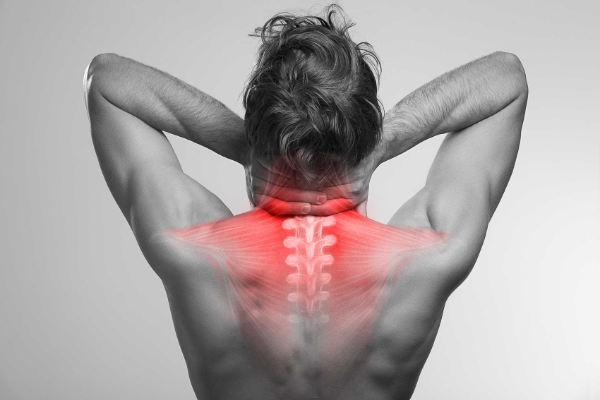 Thoracic Pain Upper Back Kyphosis Scoliosis Specialist Jamesburg, Middlesex County, NJ