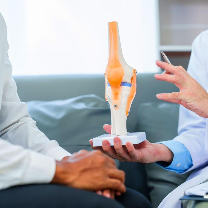 Doctor holding knee joint model while consulting with patient